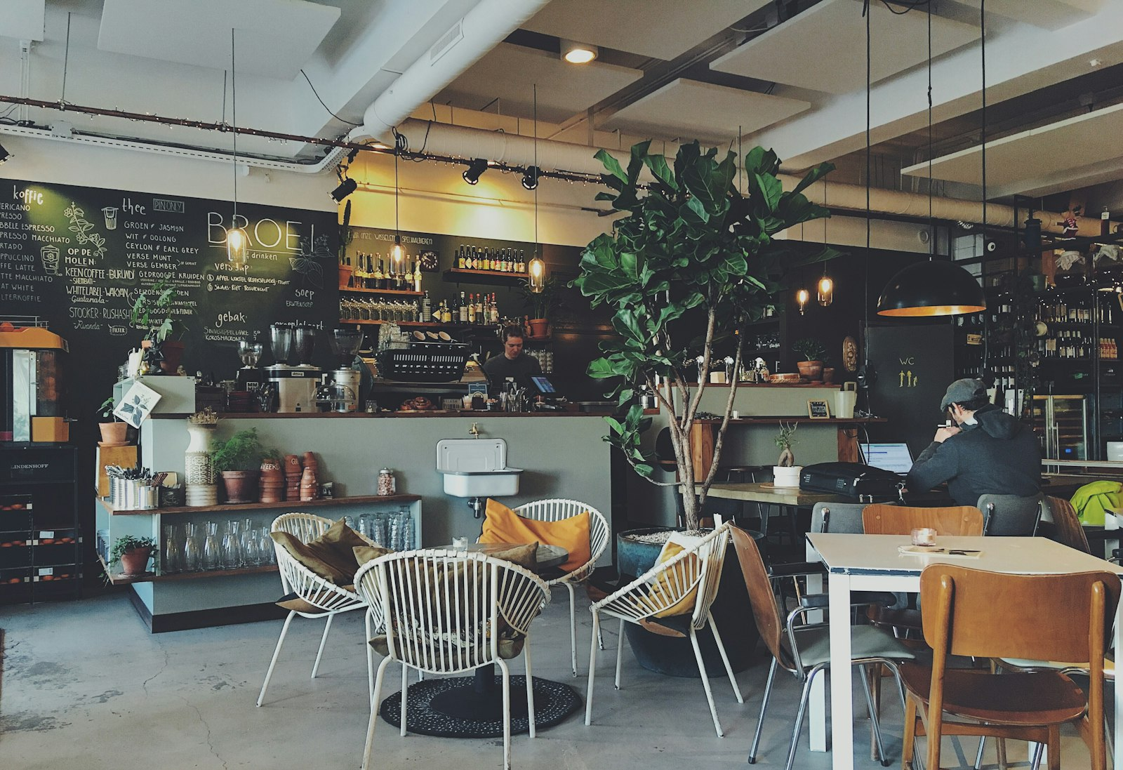 Sunlit, plant-filled interior of Lucy's Cafe